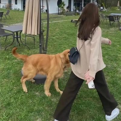 恋焰风暴